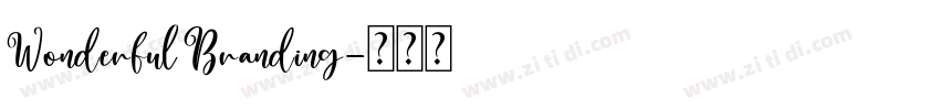 Wonderful Branding字体转换